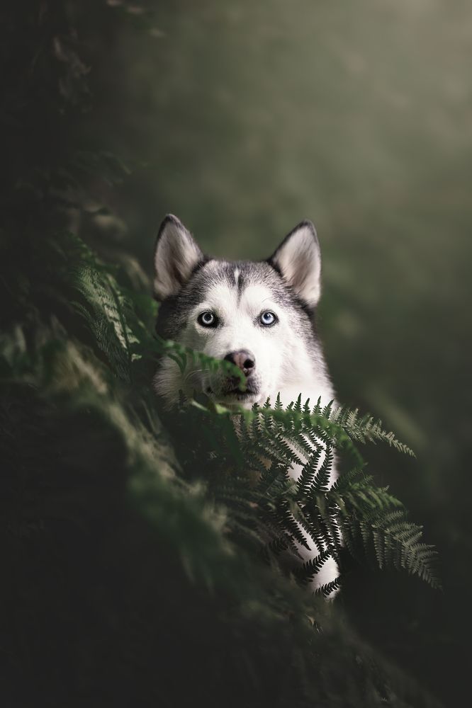 Фотография автора Rut Casanellas