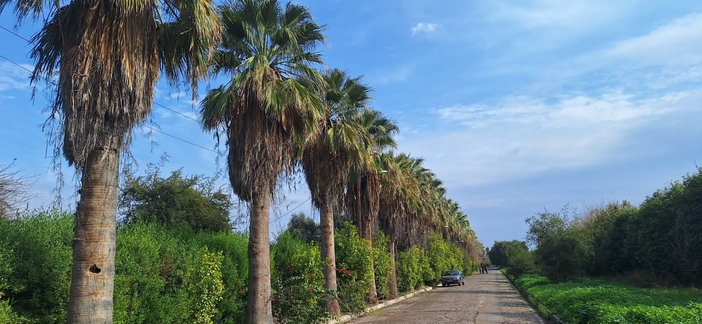 Photograph by Mahmood reza