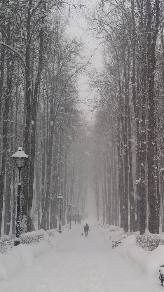 Photograph by Наталия Игоревна