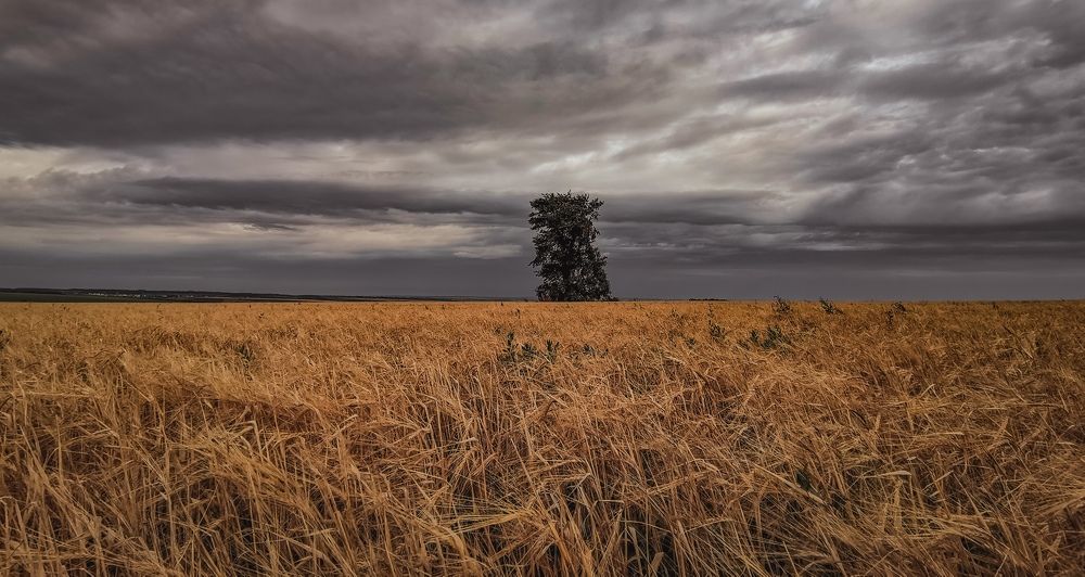 Фотография автора Константин Григорьев