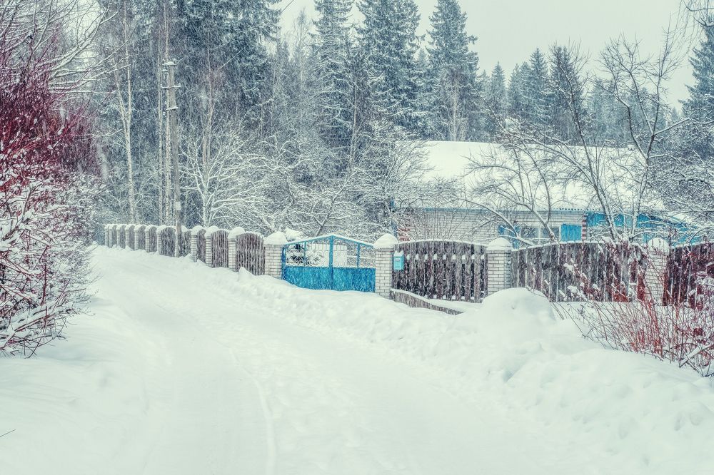 Photograph by Derevyanko Olga