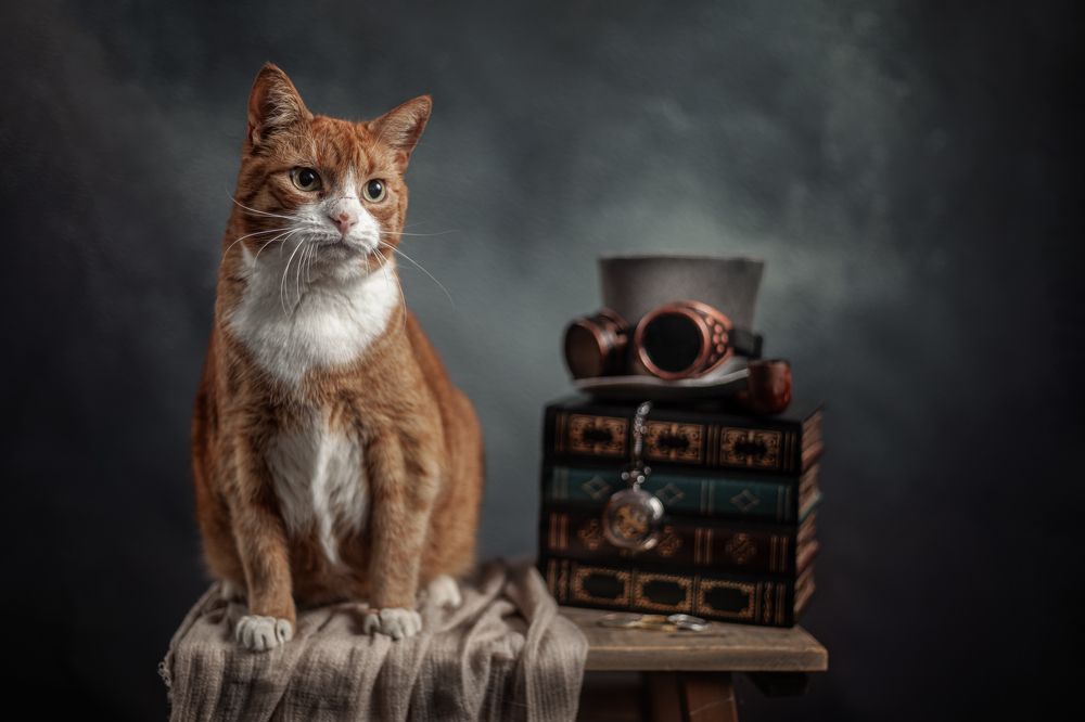 Photograph by Gertrude Goené