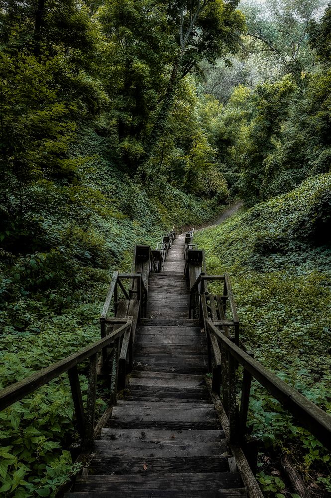 Photograph by Елена