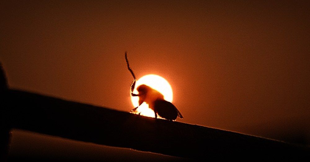 Photograph by Vaibhav G