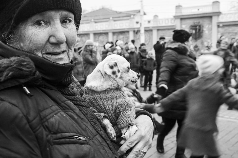 Photograph by Елена Покрепа