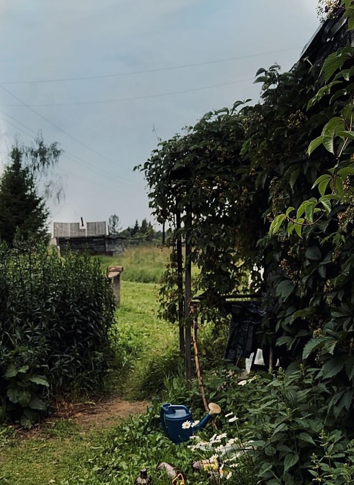 Photograph by Диана Бадеева