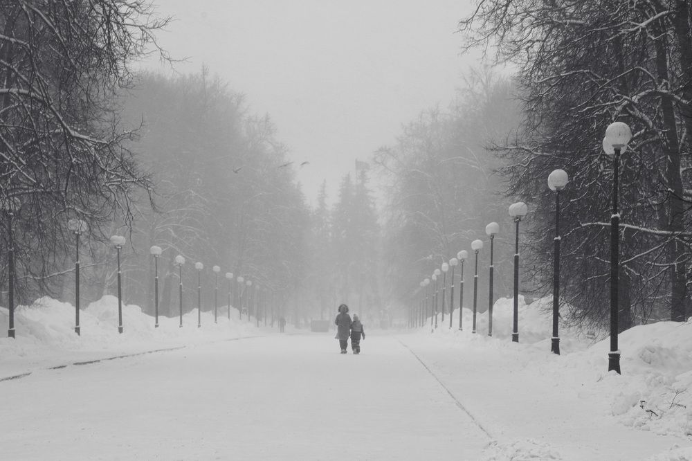 Photograph by Елена Николаева