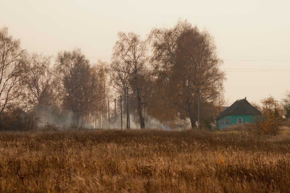 Photograph by Ольга Заповедная