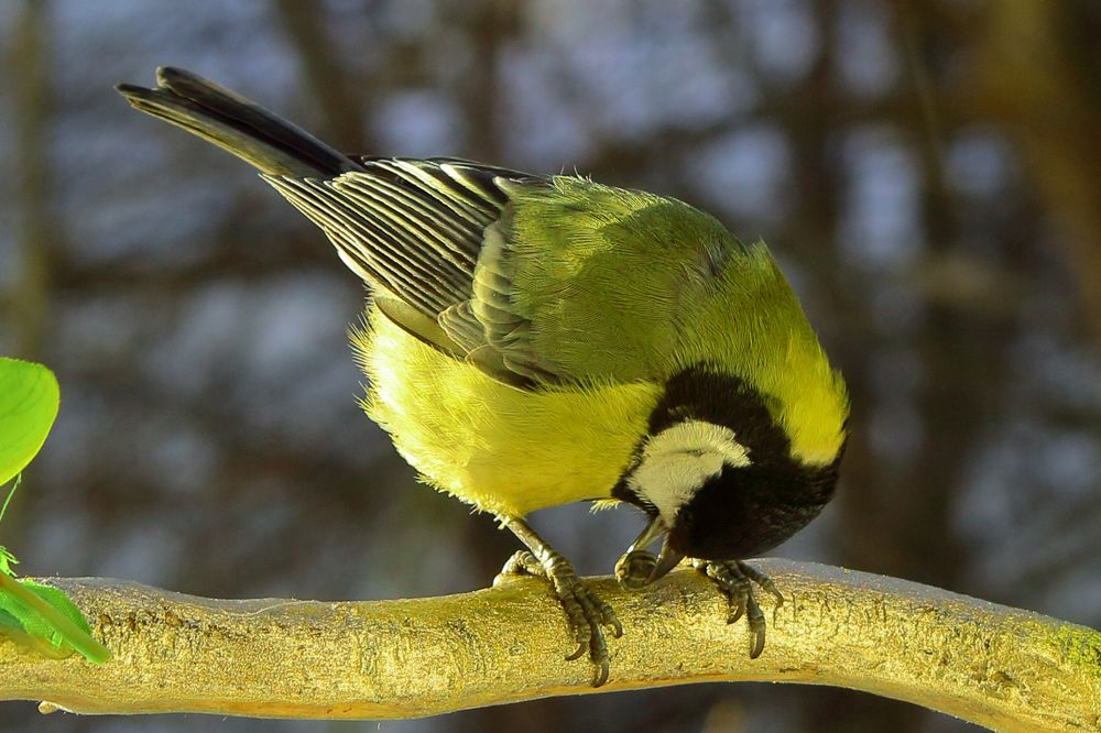 Photograph by Elena Dementova