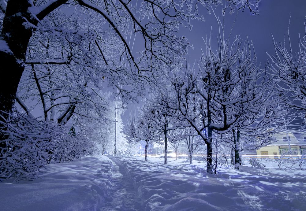 Photograph by Иван Труфанов