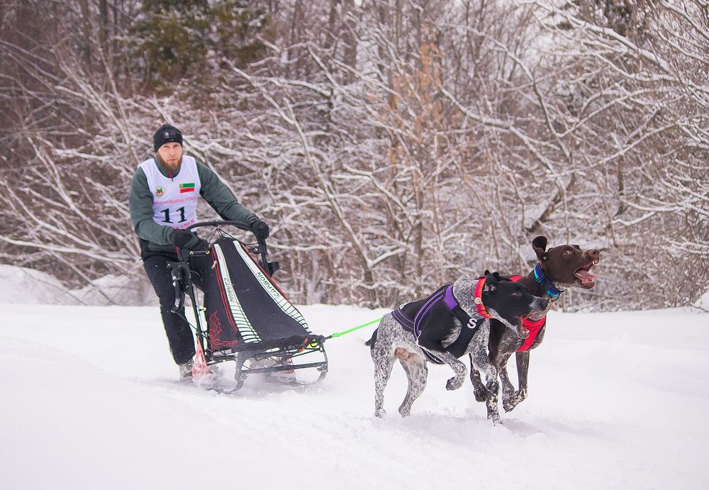 Photograph by Виктория Мамаева