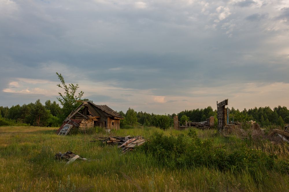 Фотография автора Roman Mishukov