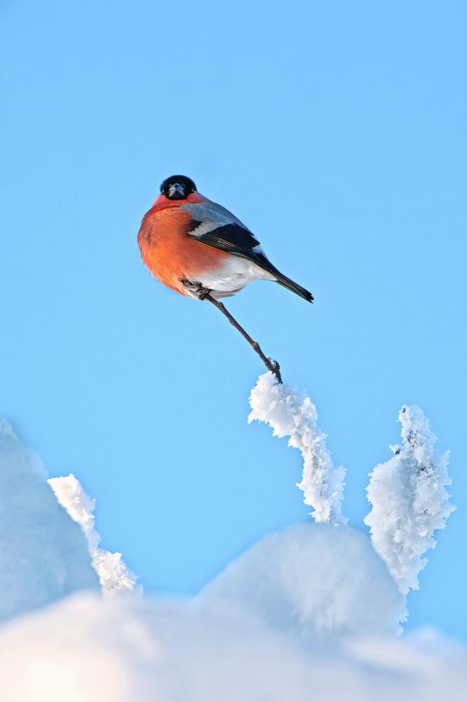 Фотография автора Ketov Vladimir