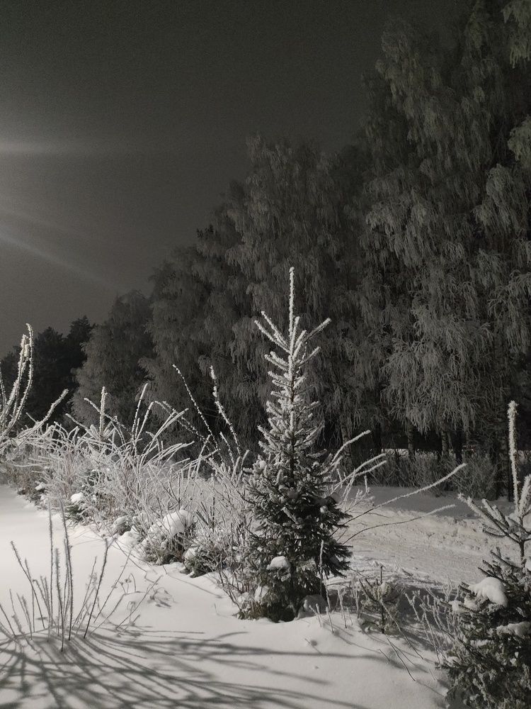 Photograph by Елена Стрельцова