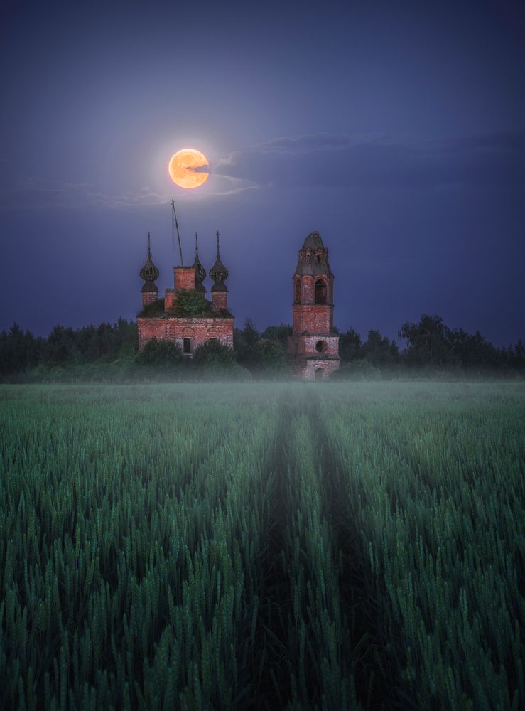 Photograph by Захарова Наталья