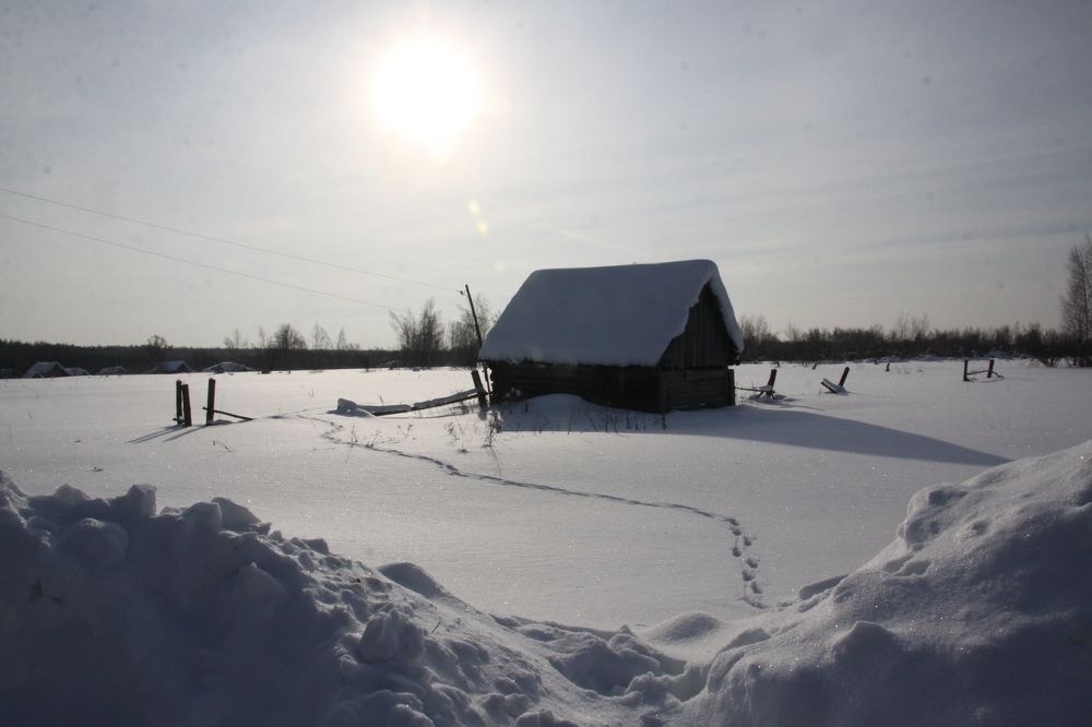 Photograph by Пётр Соколов