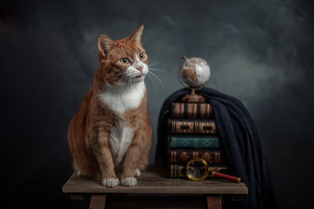 Photograph by Gertrude Goené