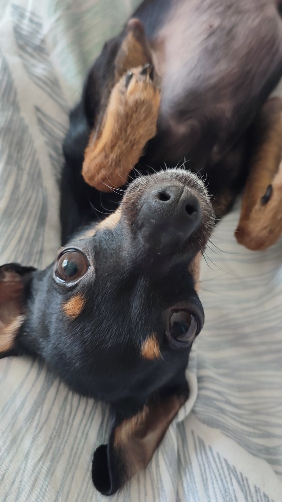 Photograph by Вахромова Елена