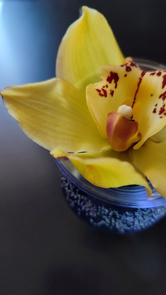 Photograph by Вахромова Елена