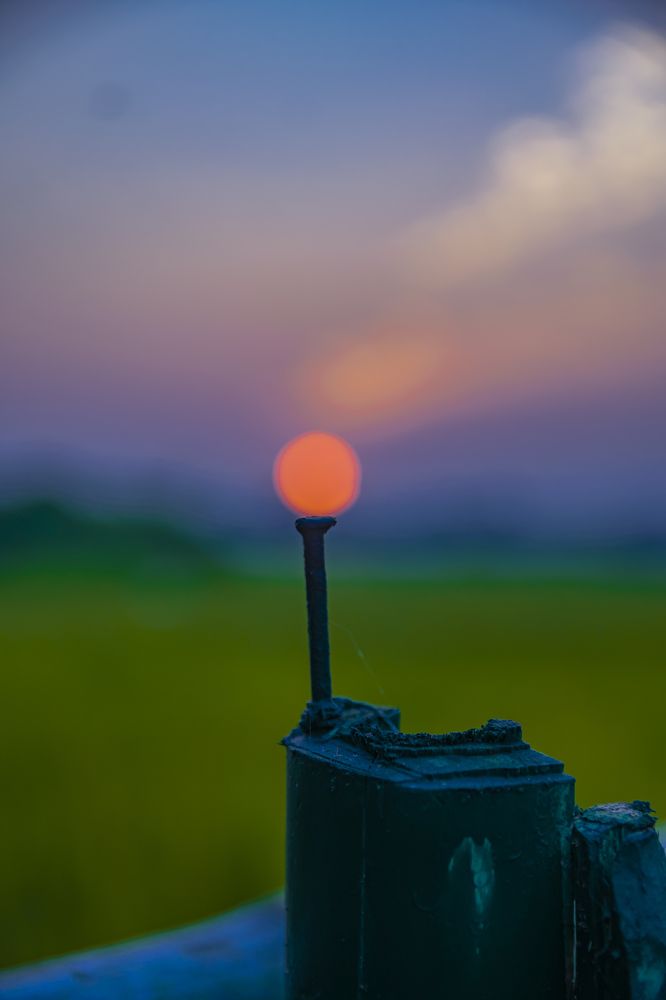 Photograph by SWAGATO KARMAKAR