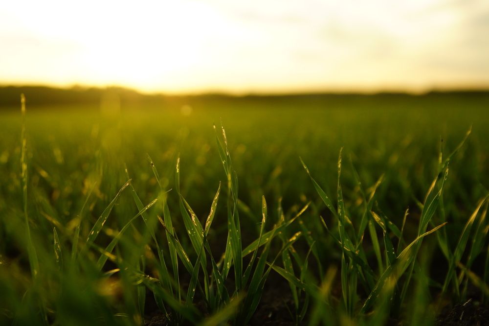 Photograph by Slavcan