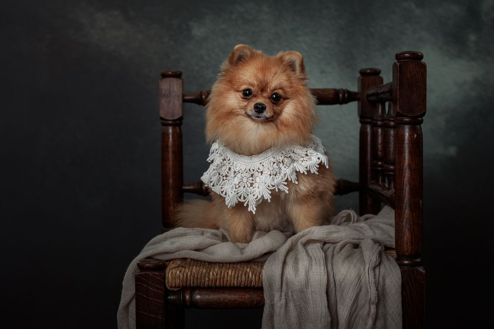 Photograph by Gertrude Goené