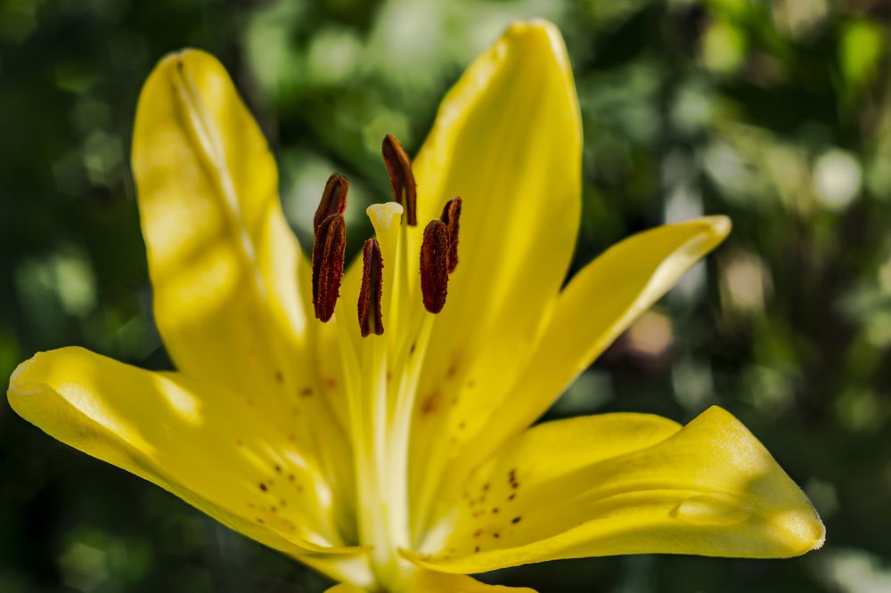 Photograph by Slavcan