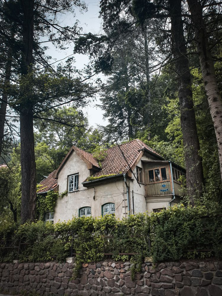 Photograph by Элен