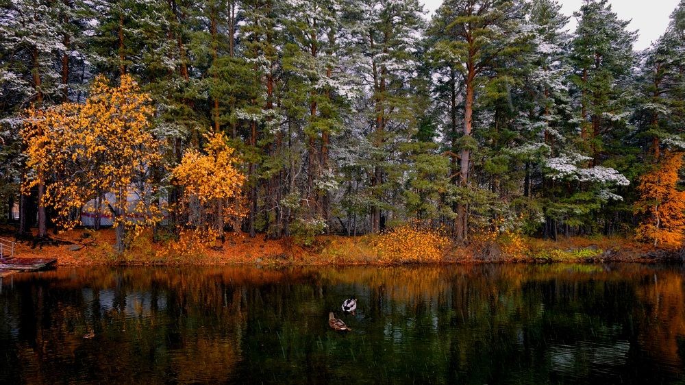 Photograph by Алия Байсыкова