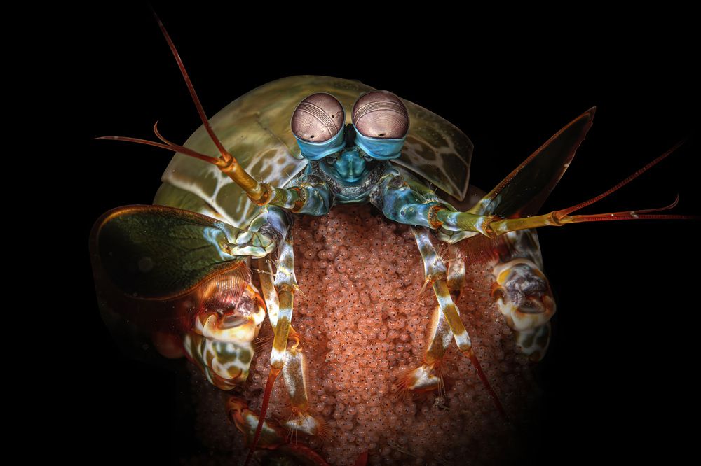 Photograph by Rodrigo Gavilan