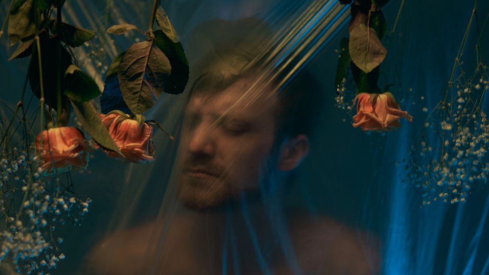Photo #10262648