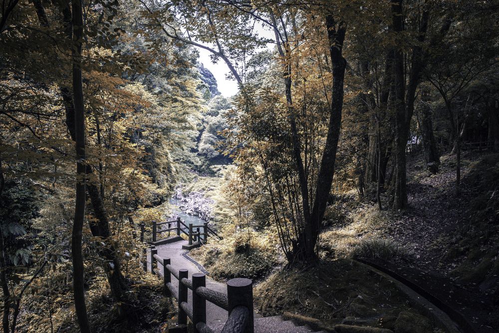 Photograph by Sana Khalid