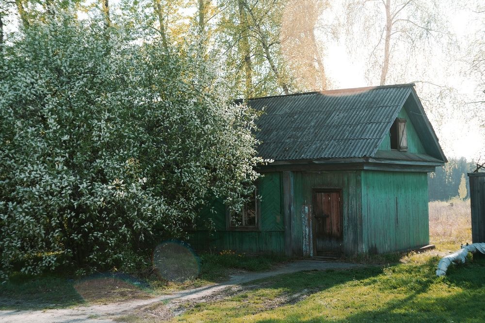 Photograph by Александр Нестеров