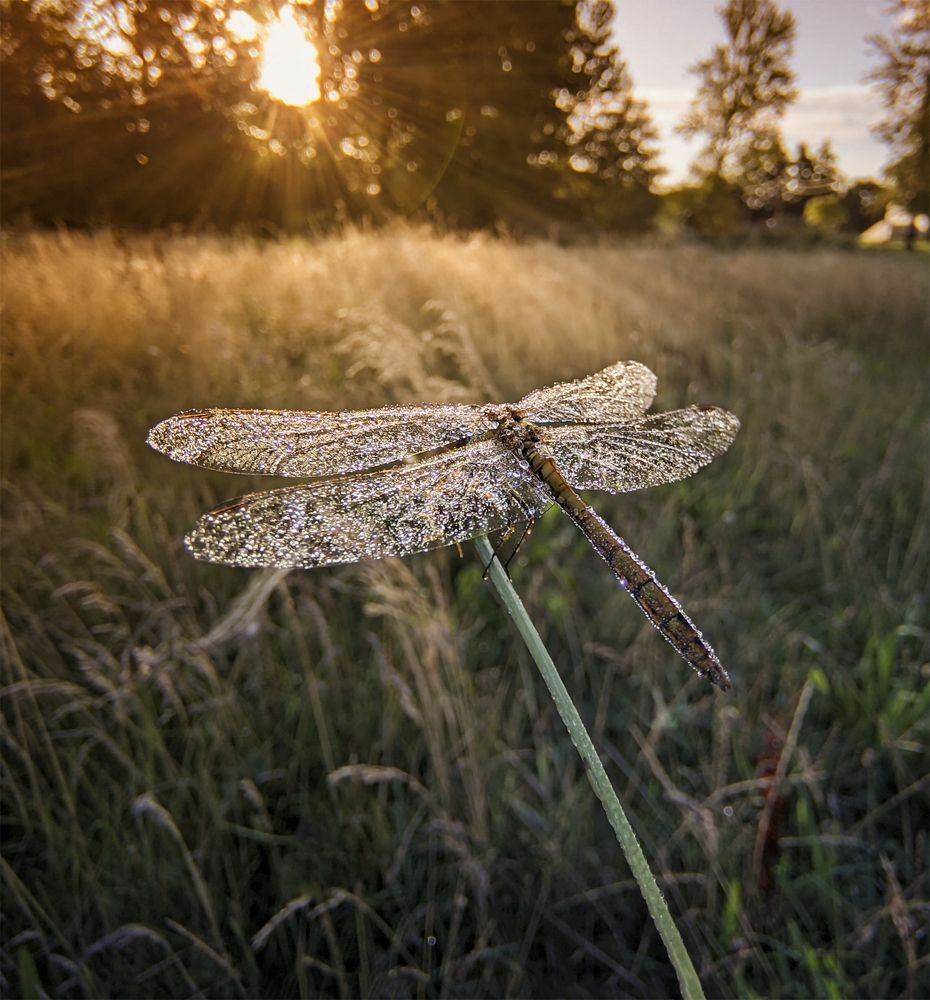 Photograph by Natalia Bolotenkova