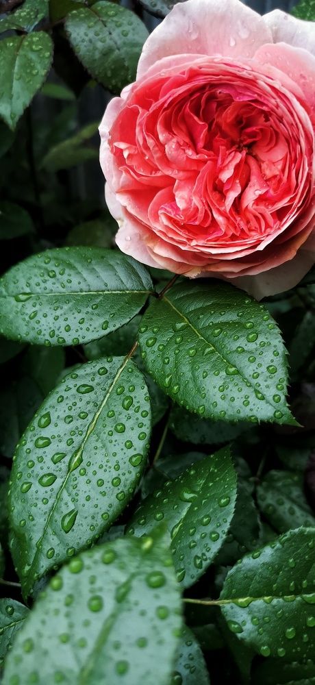 Photograph by Иван Кузнецов