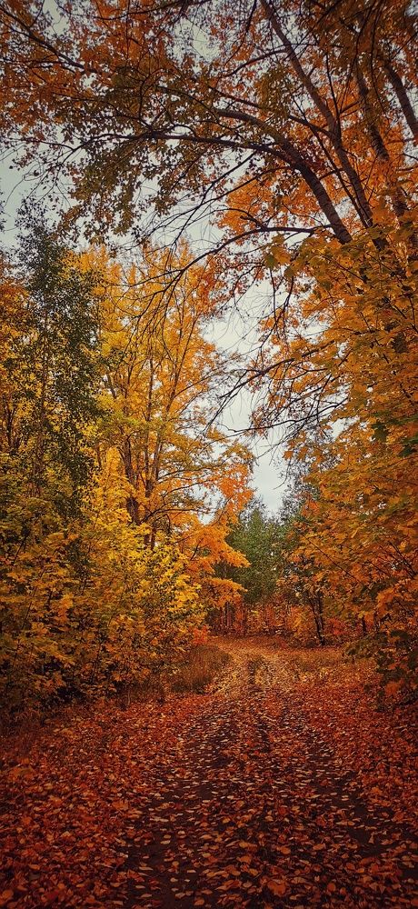 Photograph by Иван Кузнецов