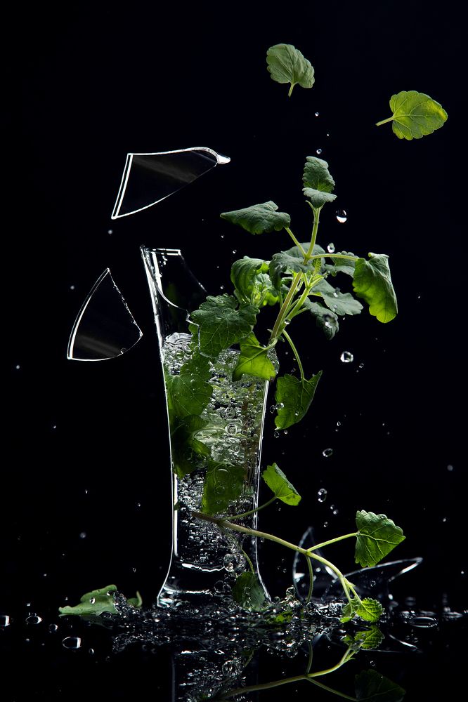 Photograph by Елена Овчинникова