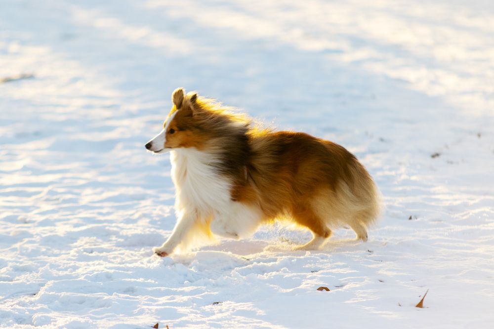 Photograph by Василий Борисович