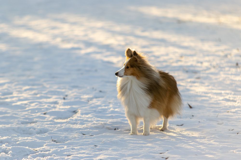 Photograph by Василий Борисович