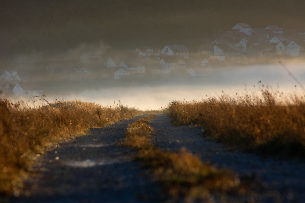 Photograph by Livno&Dinaric Wildlife