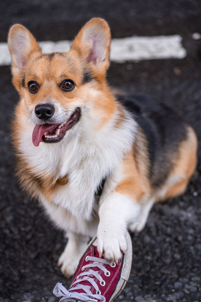 Photograph by Анна Полушина