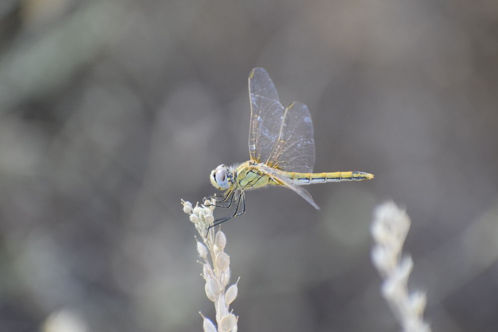 Photograph by Galia Cross