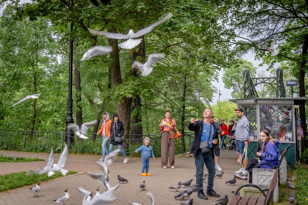 Photograph by Олег Дорошенко