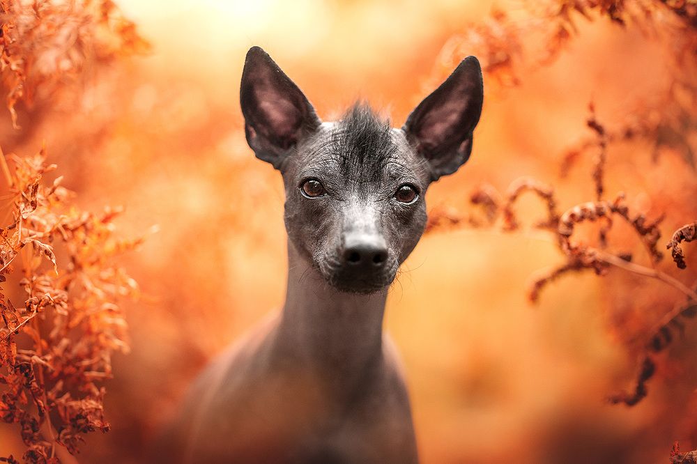 Фотография автора Оксана Серова