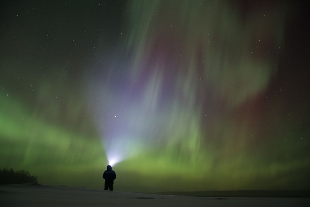 Photograph by Дмитрий Бочкарёв