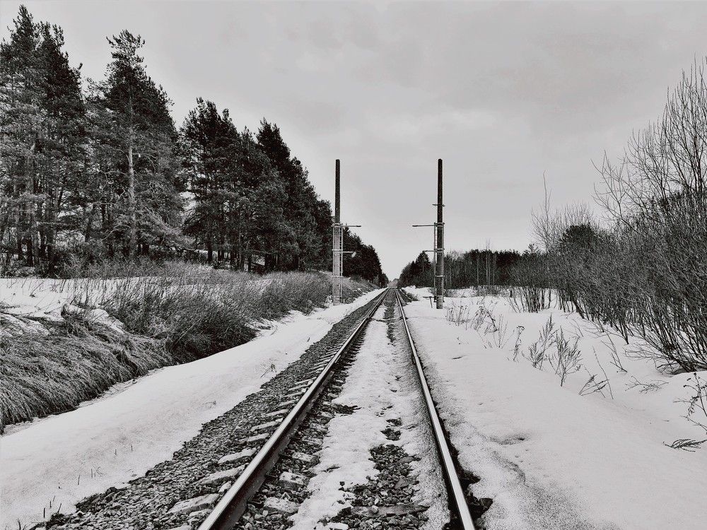 Photograph by Андрей Скрипниченко