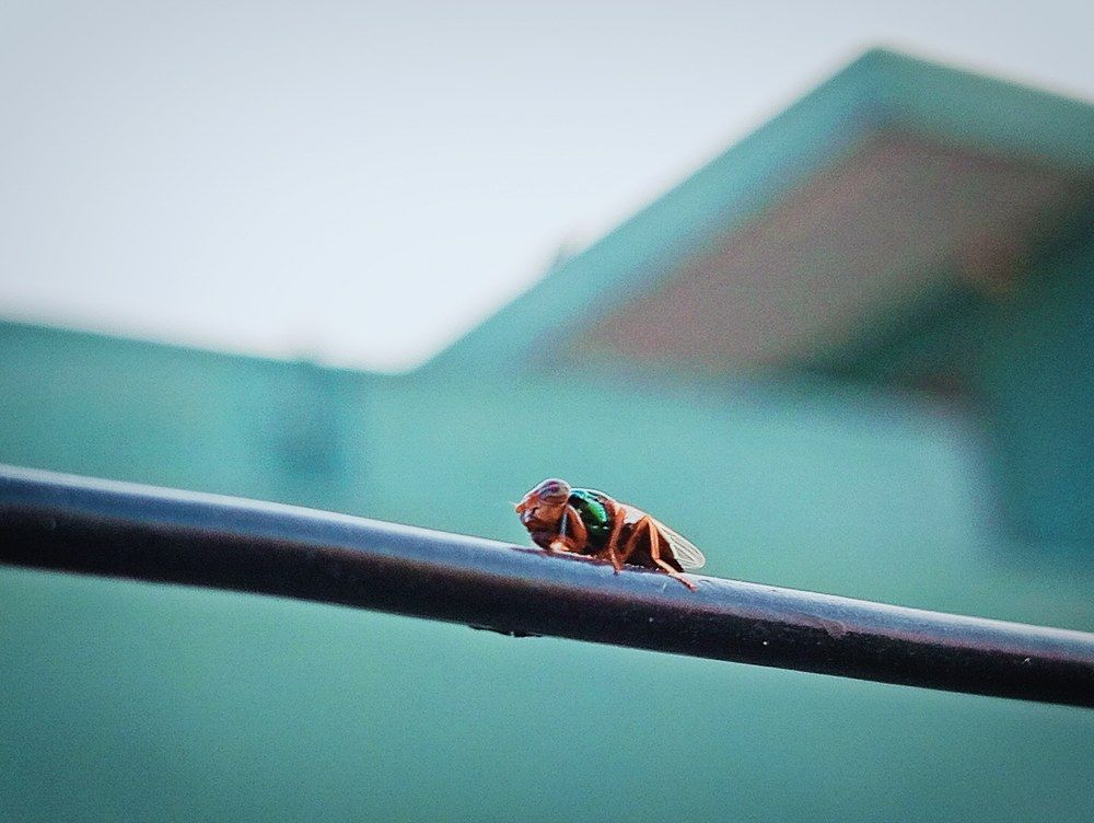 Photograph by Vaibhav G