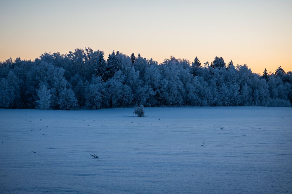 Фотография автора Екатерина Лапаева