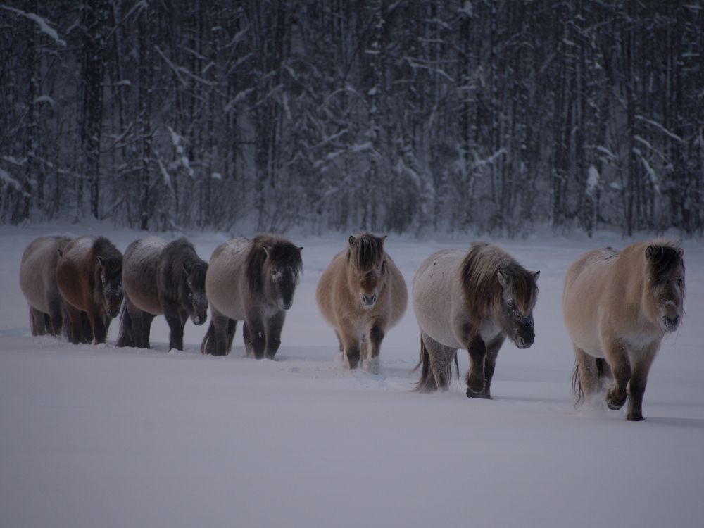 Photograph by Дмитрий Бочкарёв