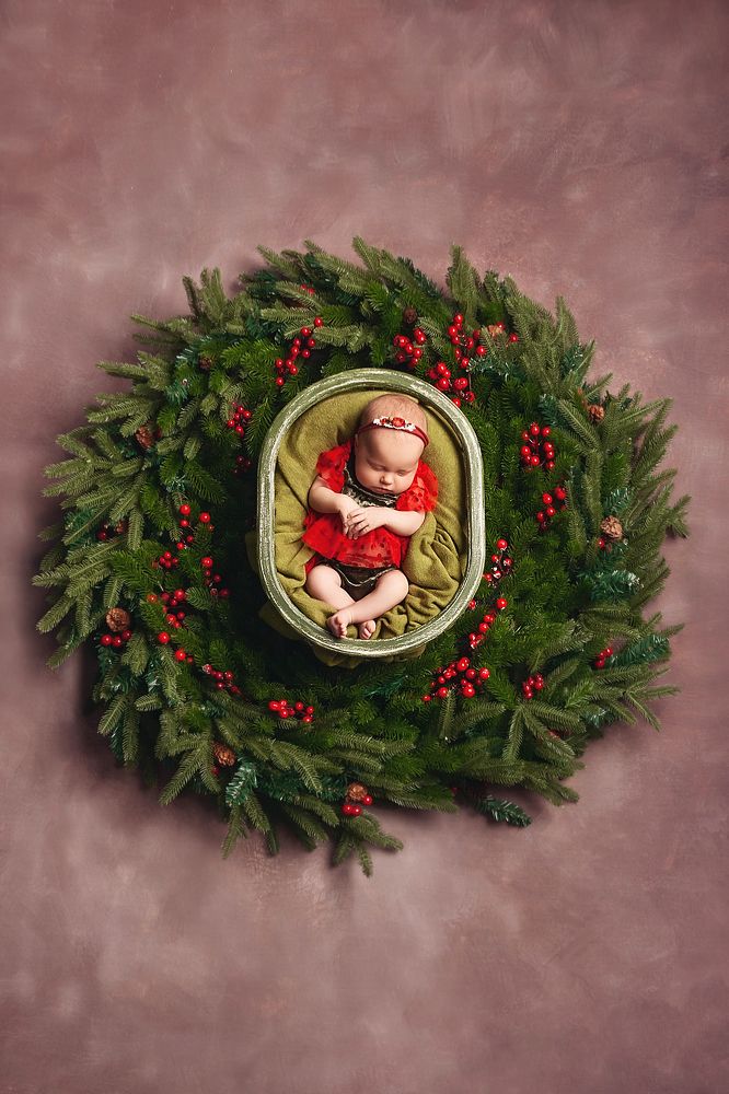 Фотография автора Ману Фалько